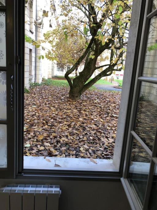 Superbe Appartement Saumur Exteriér fotografie